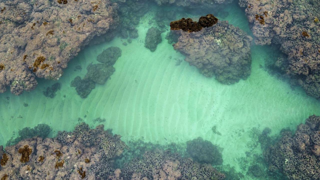 Cabana Fluir - Taipu De Fora - Peninsula De Marau 바라 그란데 외부 사진