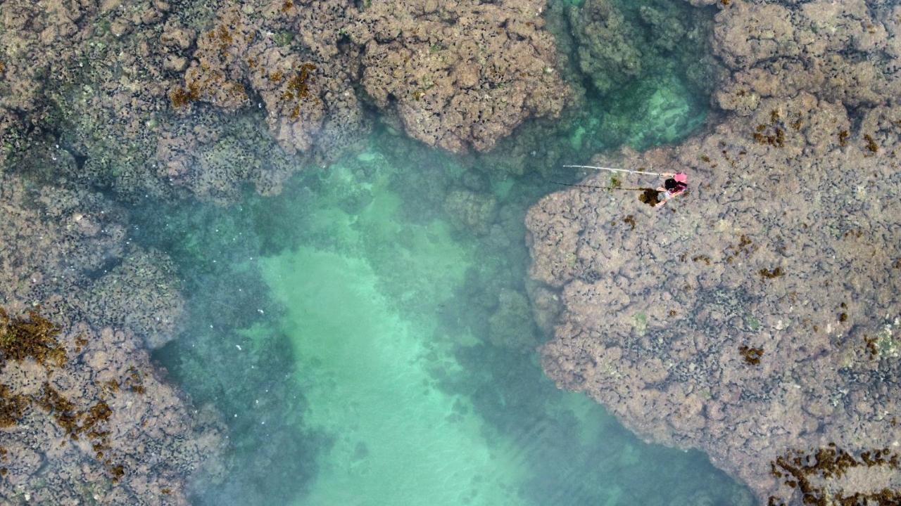 Cabana Fluir - Taipu De Fora - Peninsula De Marau 바라 그란데 외부 사진